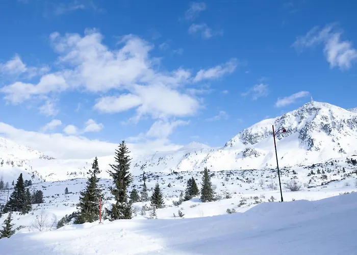 Central B&B Obertauern Guest house